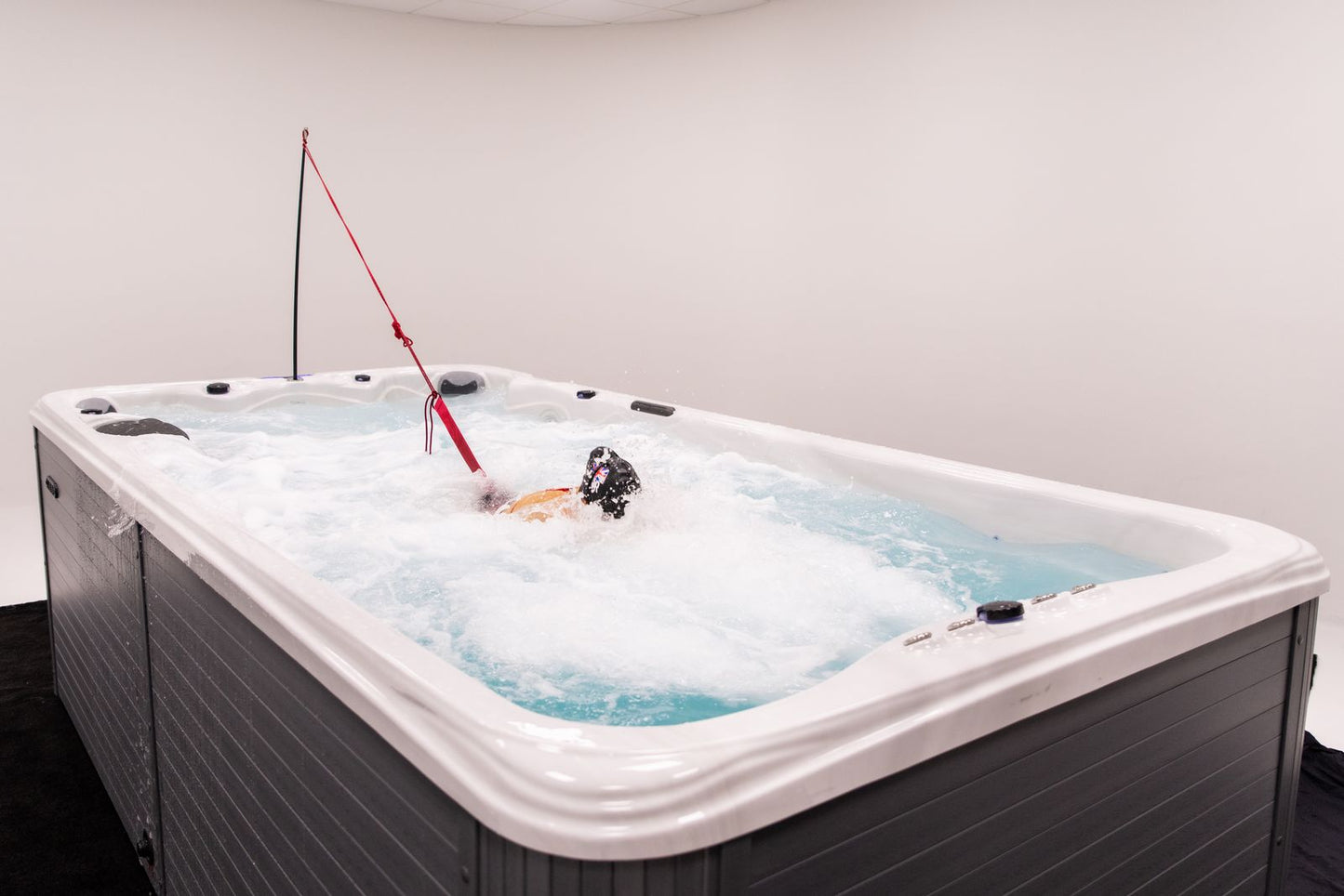 Superior Wellness Ares 4 Person Luxury Swim Spa