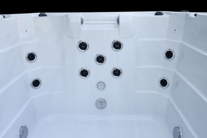 Superior Wellness Neptune 6 Person Luxury Swim spa