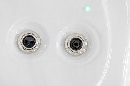 Superior Wellness Ares 4 Person Luxury Swim Spa