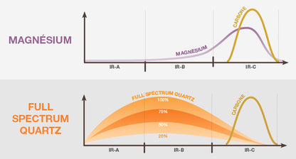 Canopee 2-Person Infrared Sauna - My Store